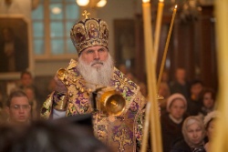 _MG_4837 - �����